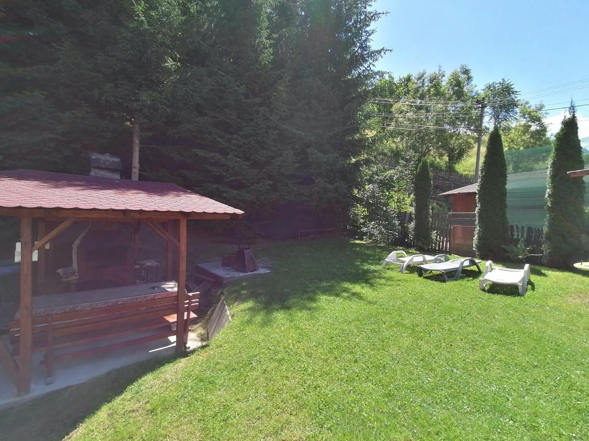 Pensiunea Dealul Frumos Maison d'hôtes Bran (Brasov)