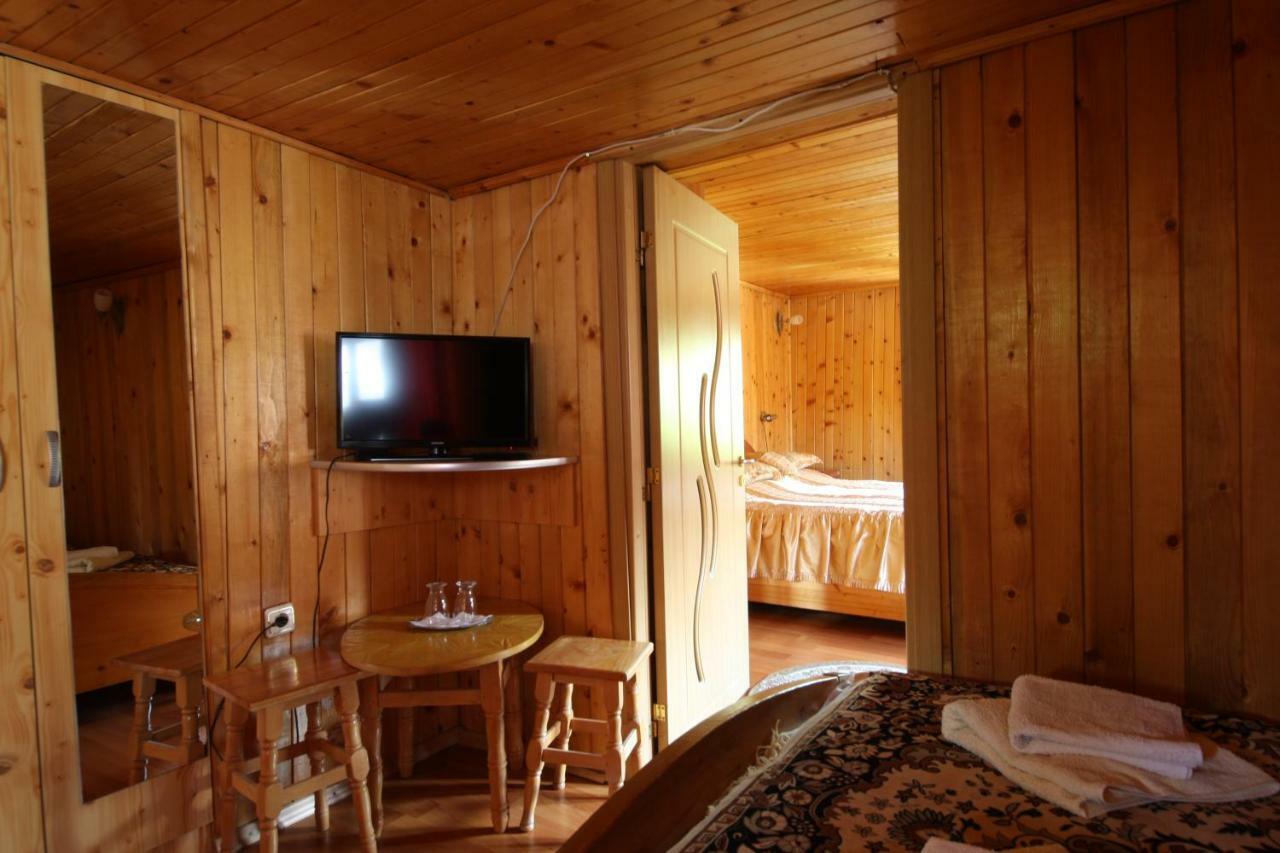 Pensiunea Dealul Frumos Bran (Brasov)